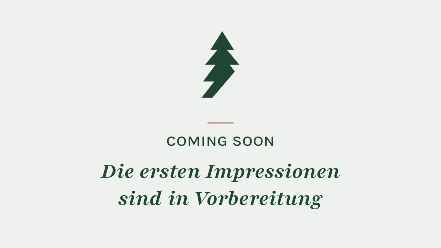 Die ersten Impressionen sind in Vorbereitung