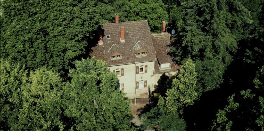 Die Waldgalerie aus der Luft